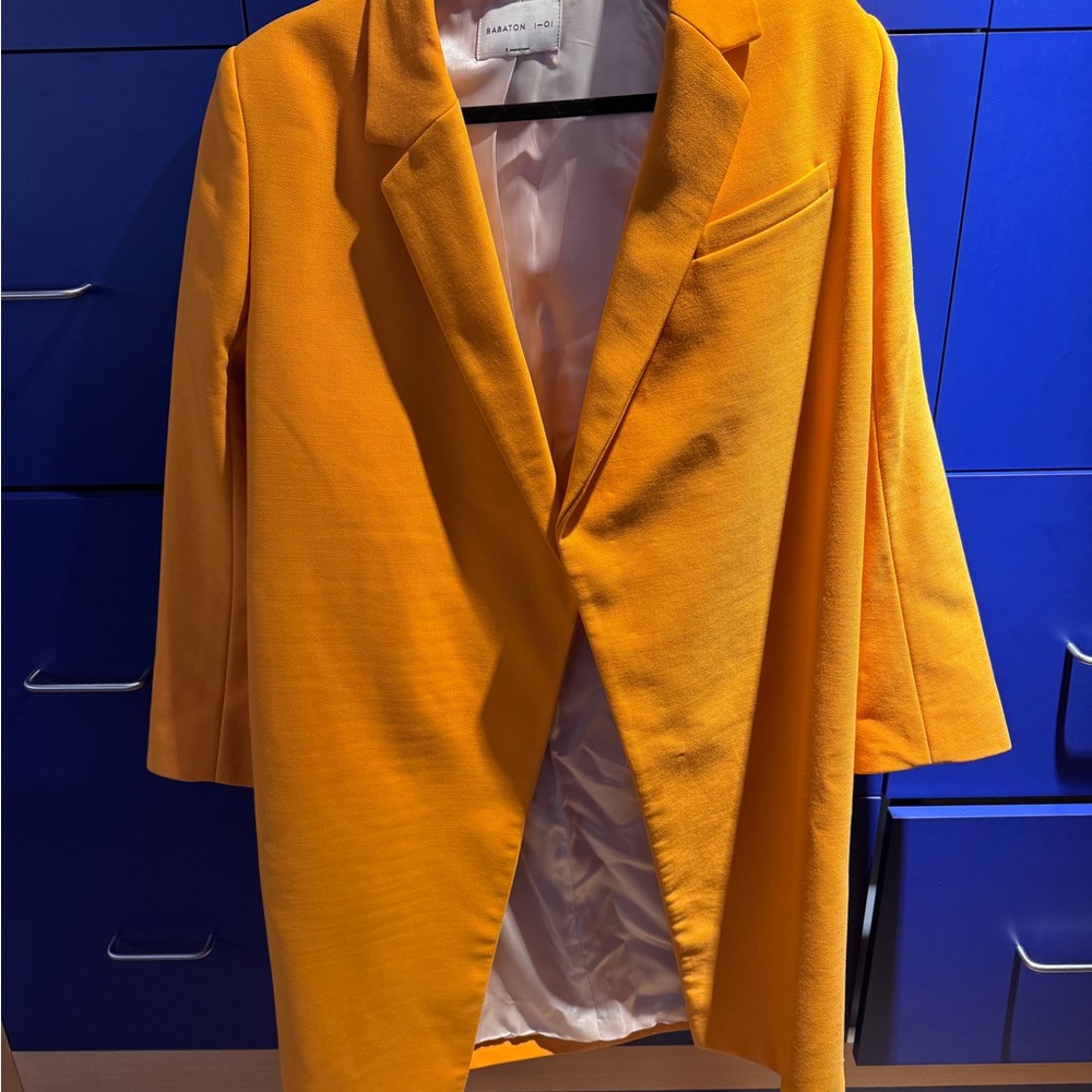 Babaton nwt Luxenbourg Orange Coat